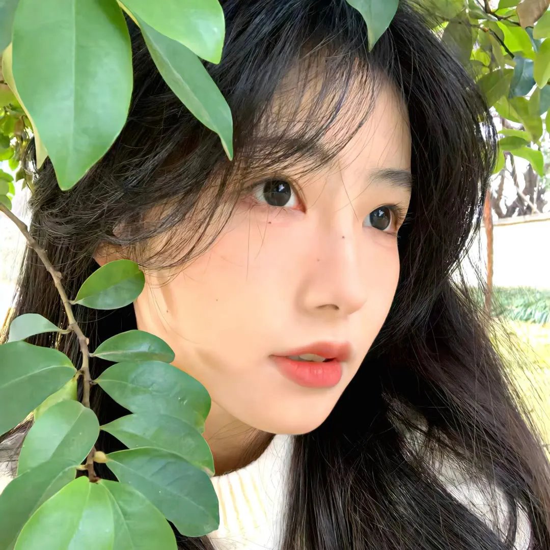 捍卫自由